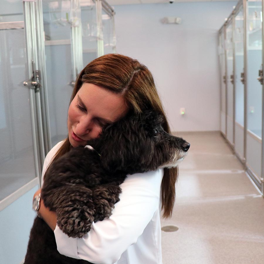 Doctor holding dog near kennels