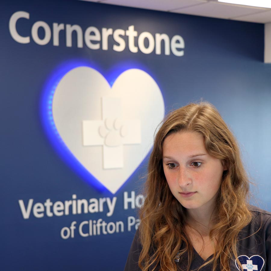 Staff member in front of Logo on wall
