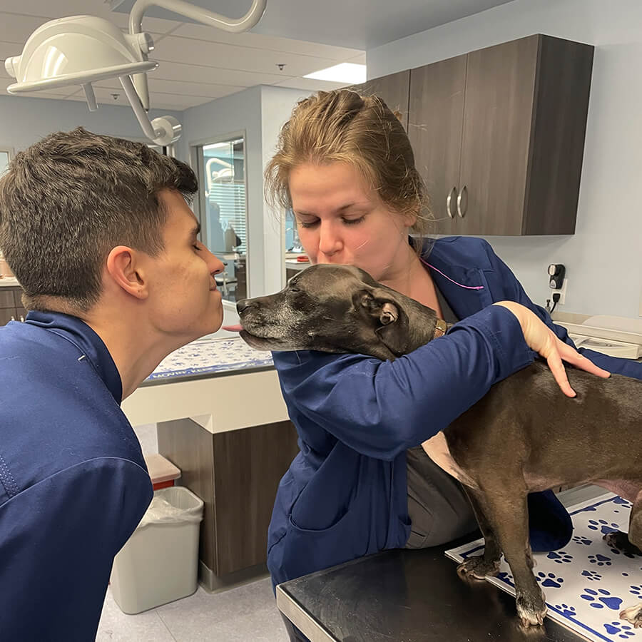 dog kisses