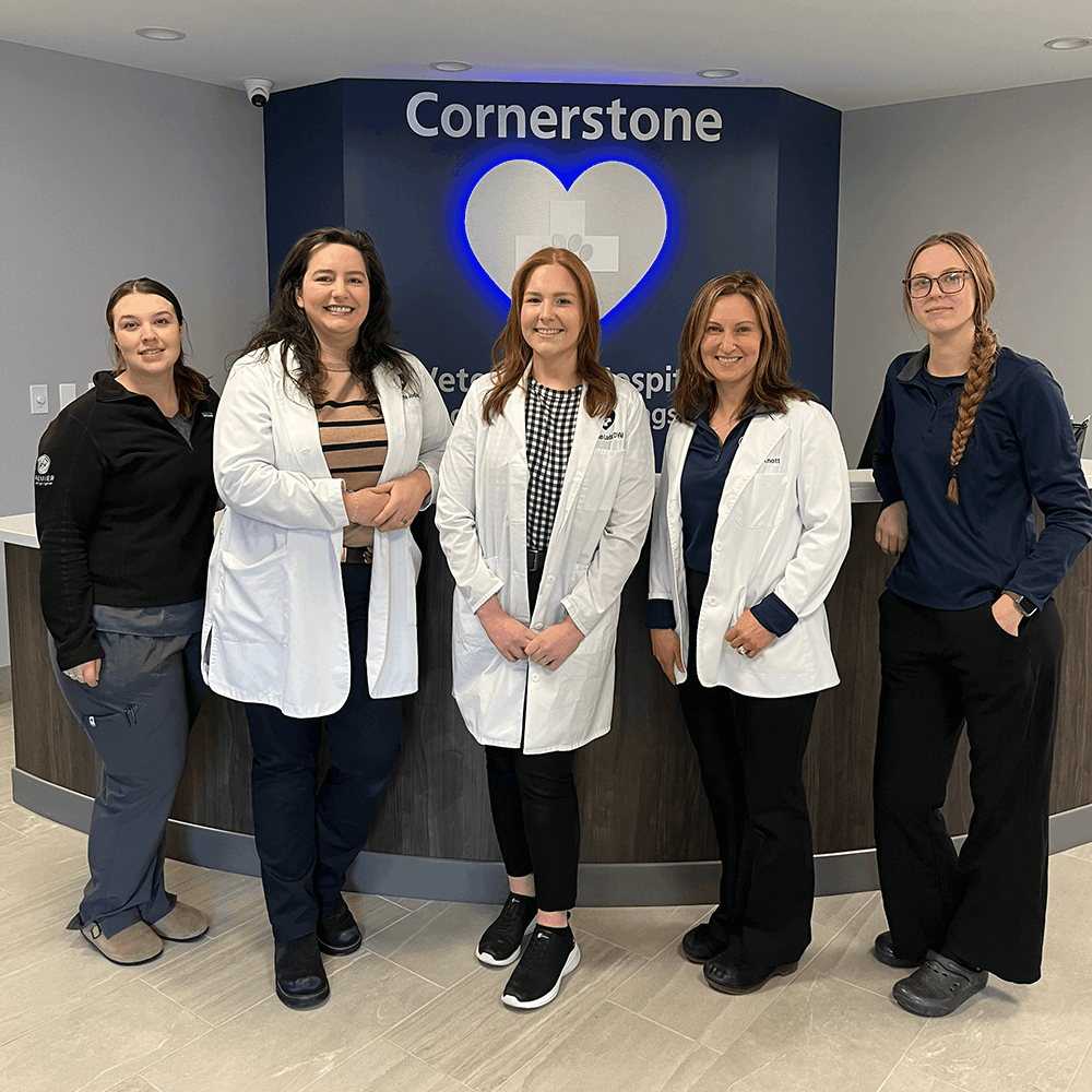 cornerstone-team