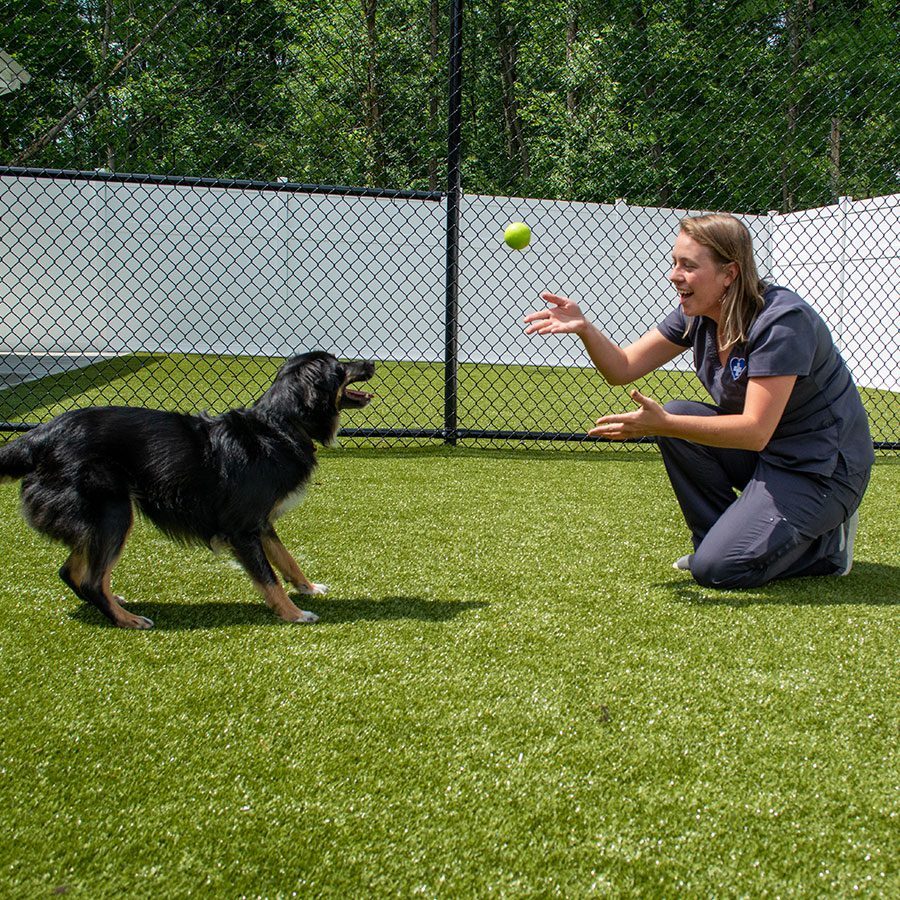 female staff member playing with dog outside female staff member playing with dog outside