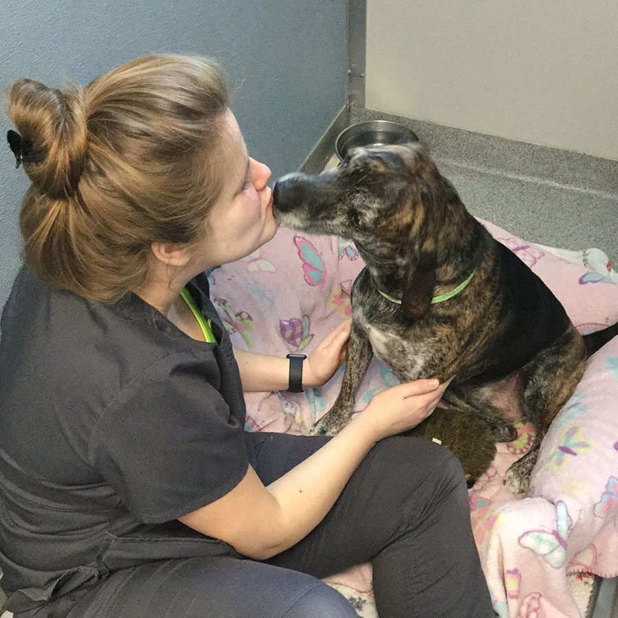 female staff member kissing dog on nose female staff member kissing dog on nose